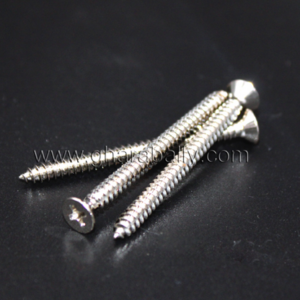 Self Tapping Screw, CSK, NP, #8, Taiwan